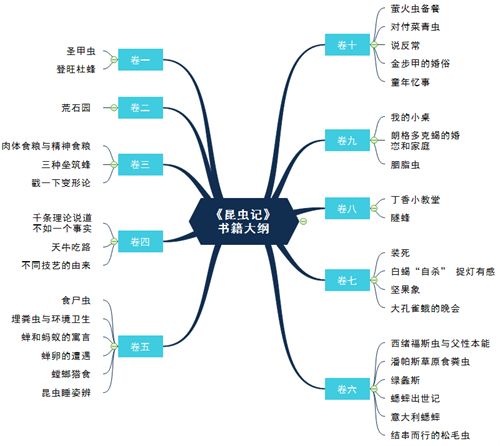 昆虫记思维导图-图片2